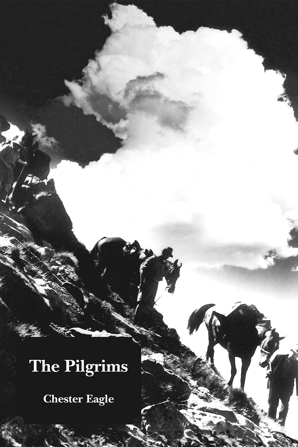 The-Pilgrims-cover-01